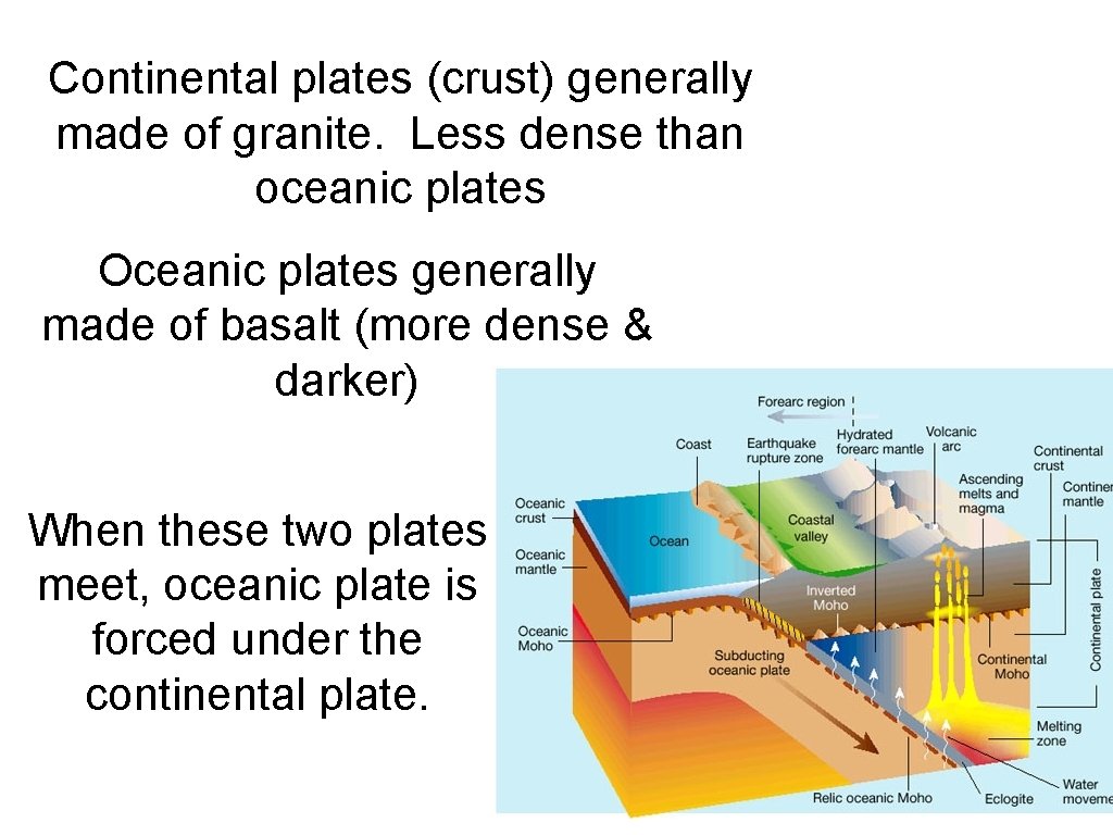 Continental plates (crust) generally made of granite. Less dense than oceanic plates Oceanic plates