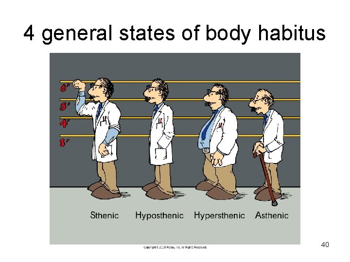4 general states of body habitus 40 