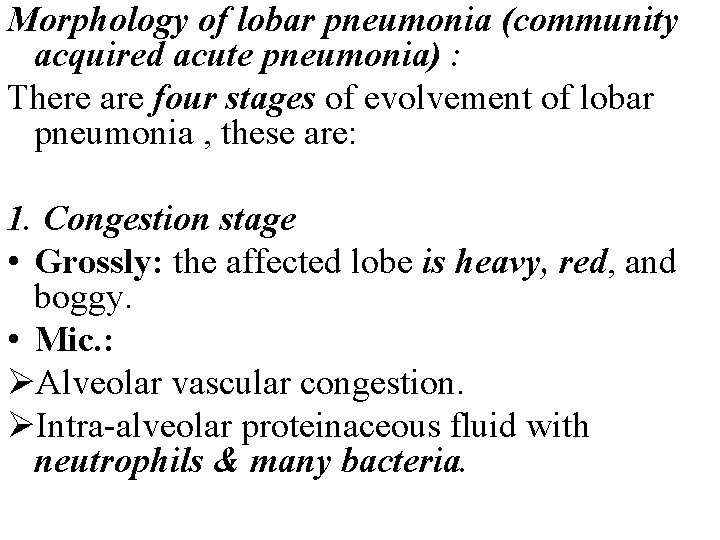 Morphology of lobar pneumonia (community acquired acute pneumonia) : There are four stages of Morphology of lobar pneumonia (community acquired acute pneumonia) : There are four stages of
