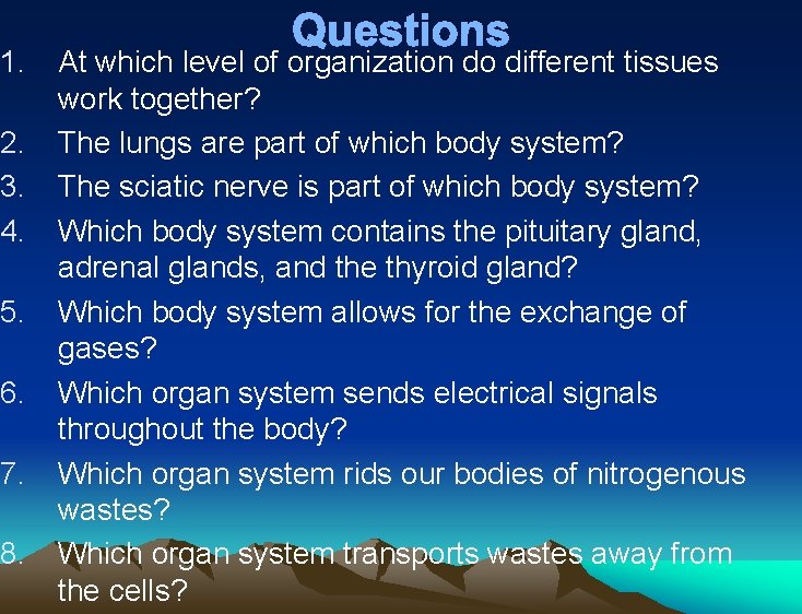 1. 2. 3. 4. 5. 6. 7. 8. Questions At which level of organization 1. 2. 3. 4. 5. 6. 7. 8. Questions At which level of organization