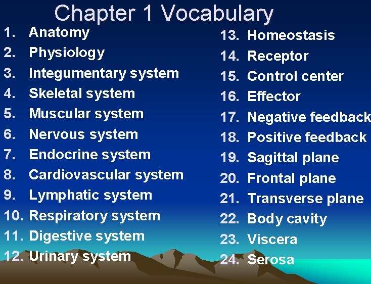 1. 2. 3. 4. 5. 6. 7. 8. 9. 10. 11. 12. Chapter 1 1. 2. 3. 4. 5. 6. 7. 8. 9. 10. 11. 12. Chapter 1