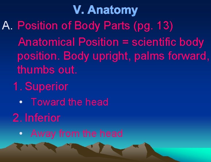 V. Anatomy A. Position of Body Parts (pg. 13) Anatomical Position = scientific body V. Anatomy A. Position of Body Parts (pg. 13) Anatomical Position = scientific body