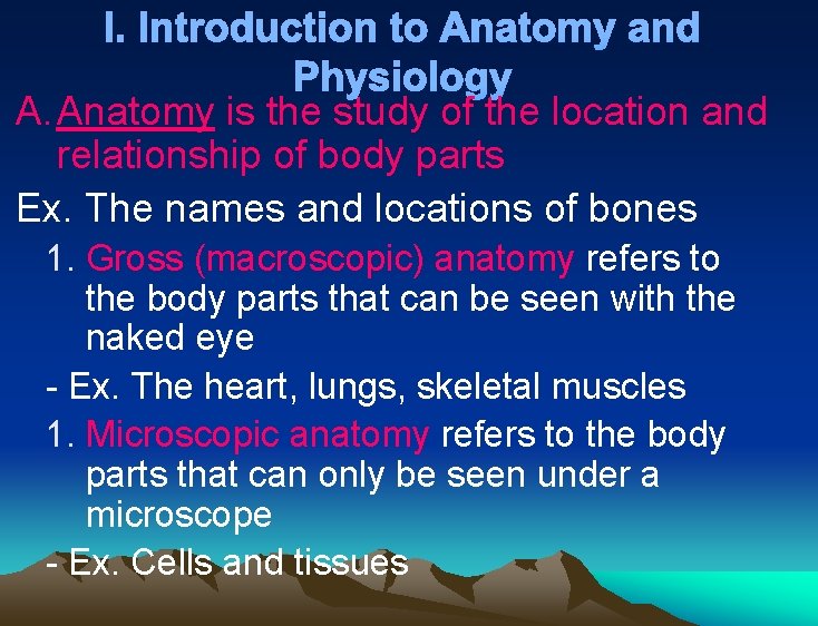 I. Introduction to Anatomy and Physiology A. Anatomy is the study of the location I. Introduction to Anatomy and Physiology A. Anatomy is the study of the location