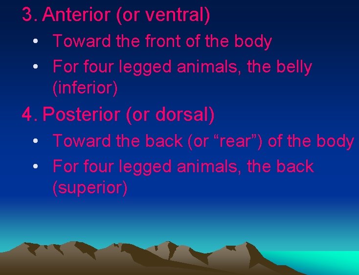 3. Anterior (or ventral) • Toward the front of the body • For four 3. Anterior (or ventral) • Toward the front of the body • For four