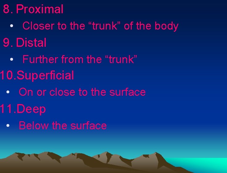 8. Proximal • Closer to the “trunk” of the body 9. Distal • Further 8. Proximal • Closer to the “trunk” of the body 9. Distal • Further