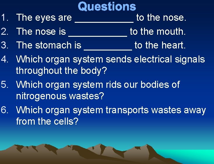 1. 2. 3. 4. Questions The eyes are ______ to the nose. The nose 1. 2. 3. 4. Questions The eyes are ______ to the nose. The nose