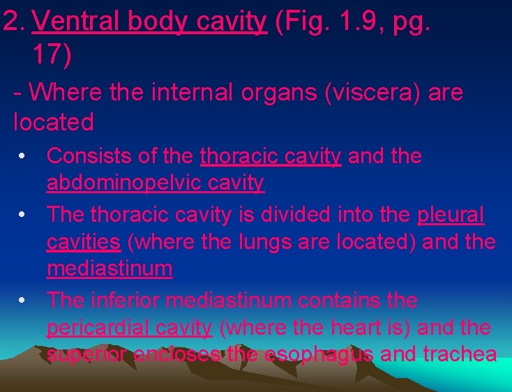 2. Ventral body cavity (Fig. 1. 9, pg. 17) - Where the internal organs 2. Ventral body cavity (Fig. 1. 9, pg. 17) - Where the internal organs