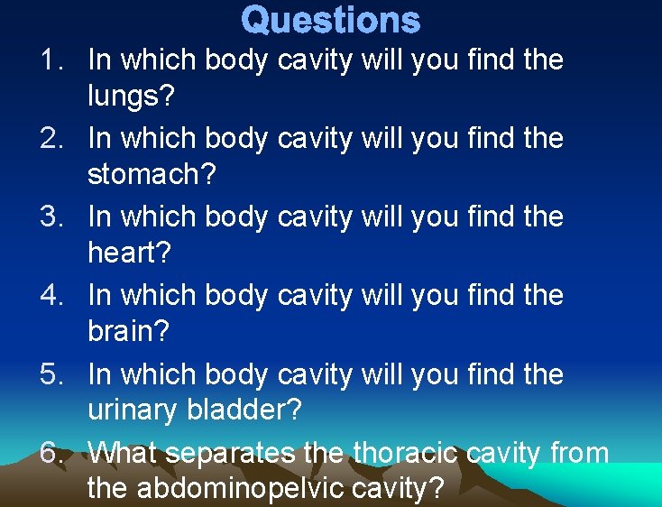 Questions 1. In which body cavity will you find the lungs? 2. In which Questions 1. In which body cavity will you find the lungs? 2. In which