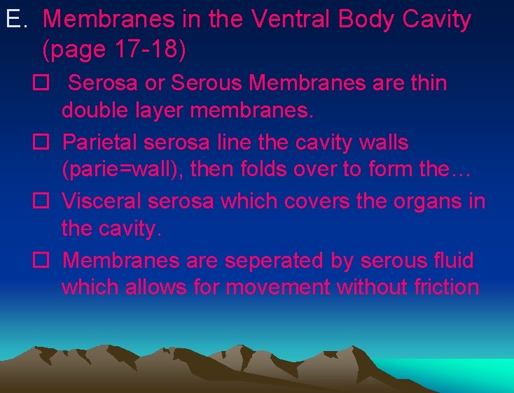 E. Membranes in the Ventral Body Cavity (page 17 -18) Serosa or Serous Membranes E. Membranes in the Ventral Body Cavity (page 17 -18) Serosa or Serous Membranes