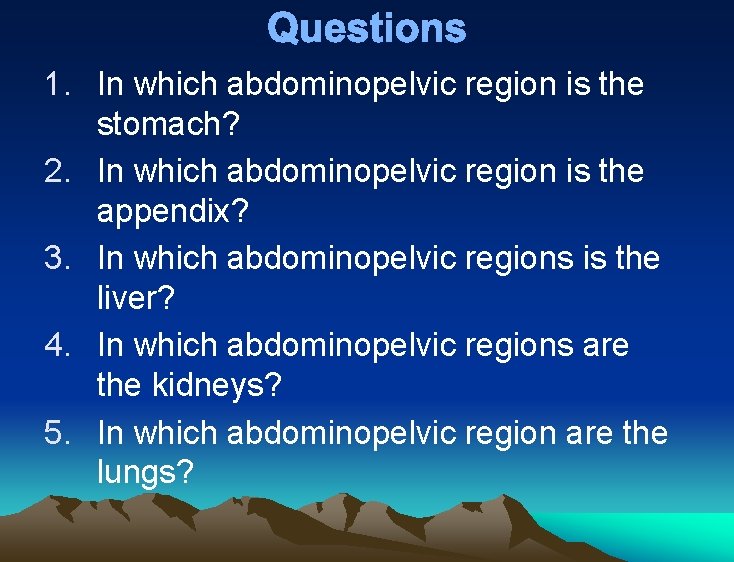 Questions 1. In which abdominopelvic region is the stomach? 2. In which abdominopelvic region Questions 1. In which abdominopelvic region is the stomach? 2. In which abdominopelvic region