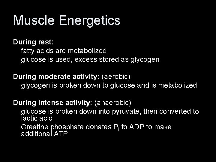 Muscle Energetics During rest: fatty acids are metabolized glucose is used, excess stored as
