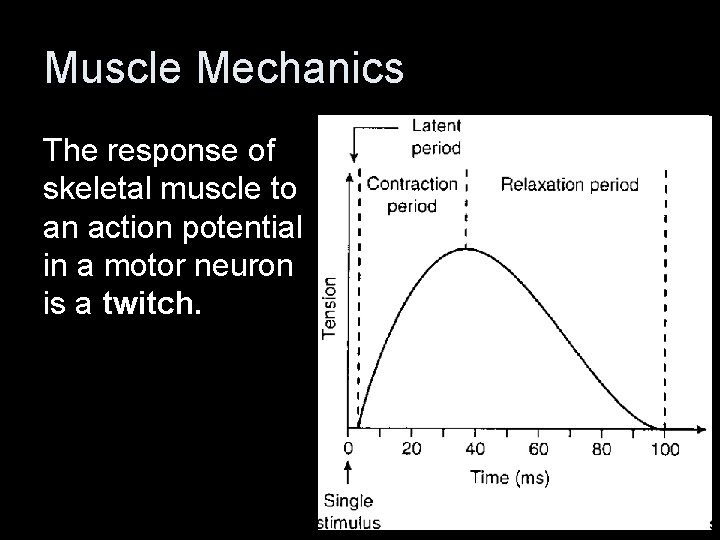 Muscle Mechanics The response of skeletal muscle to an action potential in a motor