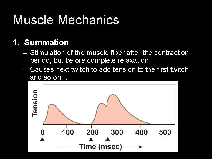 Muscle Mechanics 1. Summation – Stimulation of the muscle fiber after the contraction period,