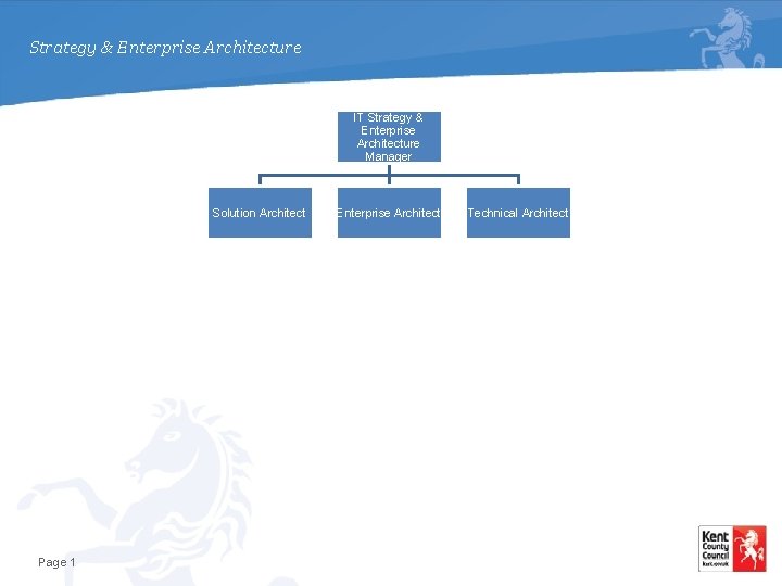 Strategy & Enterprise Architecture IT Strategy & Enterprise Architecture Manager Solution Architect Page 1