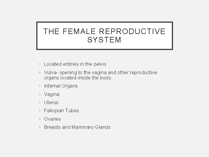 THE FEMALE REPRODUCTIVE SYSTEM • Located entirely in the pelvis • Vulva- opening to