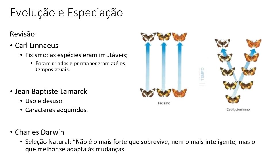 Evolução e Especiação Revisão: • Carl Linnaeus • Fixismo: as espécies eram imutáveis; •