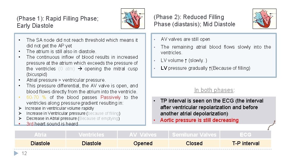 (Phase 2): Reduced Filling Phase (diastasis); Mid Diastole (Phase 1): Rapid Filling Phase; Early