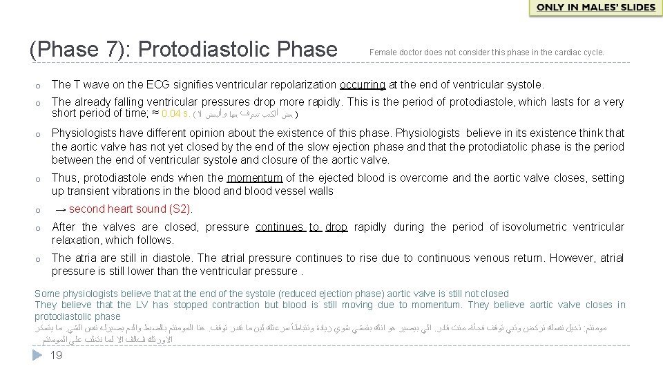 (Phase 7): Protodiastolic Phase Female doctor does not consider this phase in the cardiac