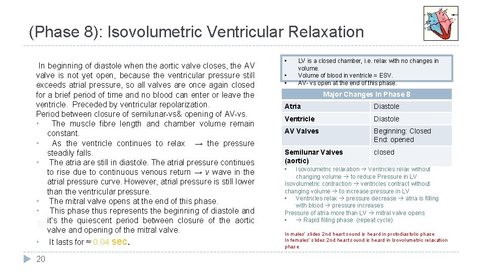 (Phase 8): Isovolumetric Ventricular Relaxation In beginning of diastole when the aortic valve closes,