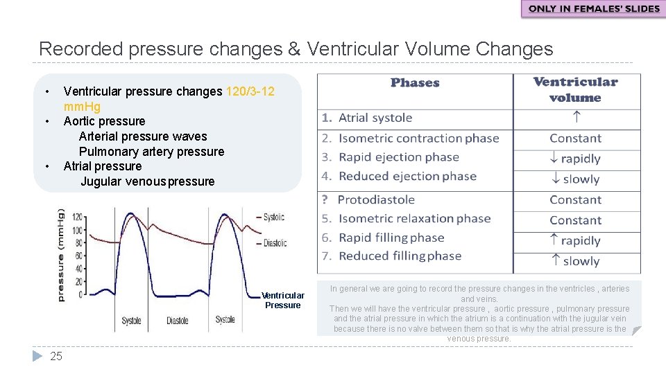 Recorded pressure changes & Ventricular Volume Changes • Ventricular pressure changes 120/3 -12 mm.