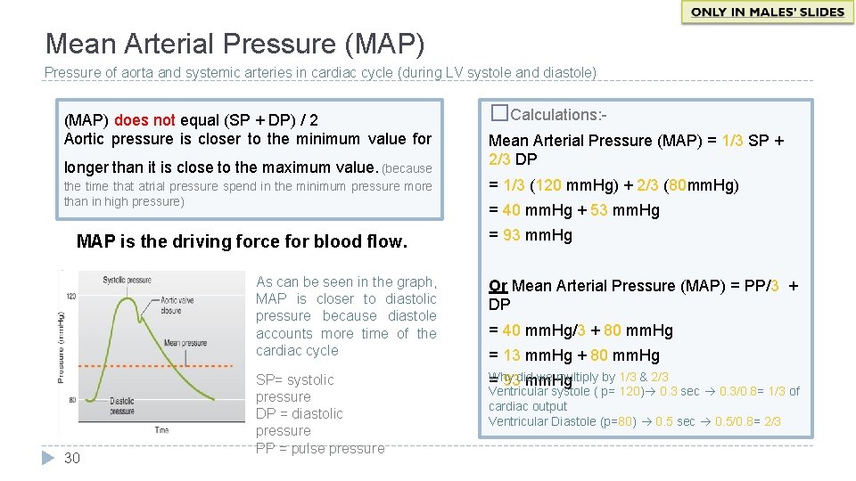 Mean Arterial Pressure (MAP) Pressure of aorta and systemic arteries in cardiac cycle (during