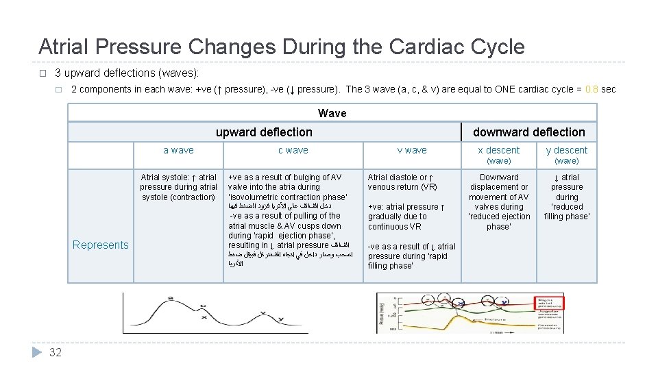 Atrial Pressure Changes During the Cardiac Cycle � 3 upward deflections (waves): � 2