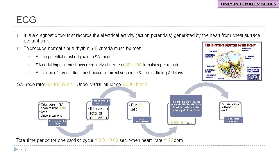 ECG � It is a diagnostic tool that records the electrical activity (action potentials)