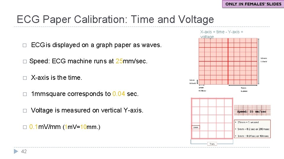 ECG Paper Calibration: Time and Voltage X-axis = time - Y-axis = voltage �