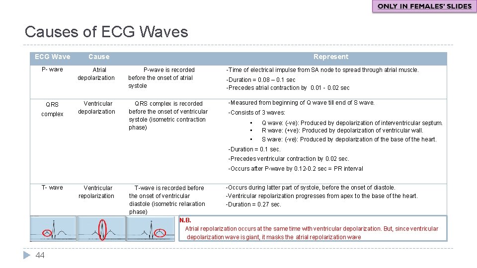 Causes of ECG Waves ECG Wave P- wave QRS complex Cause Represent Atrial depolarization