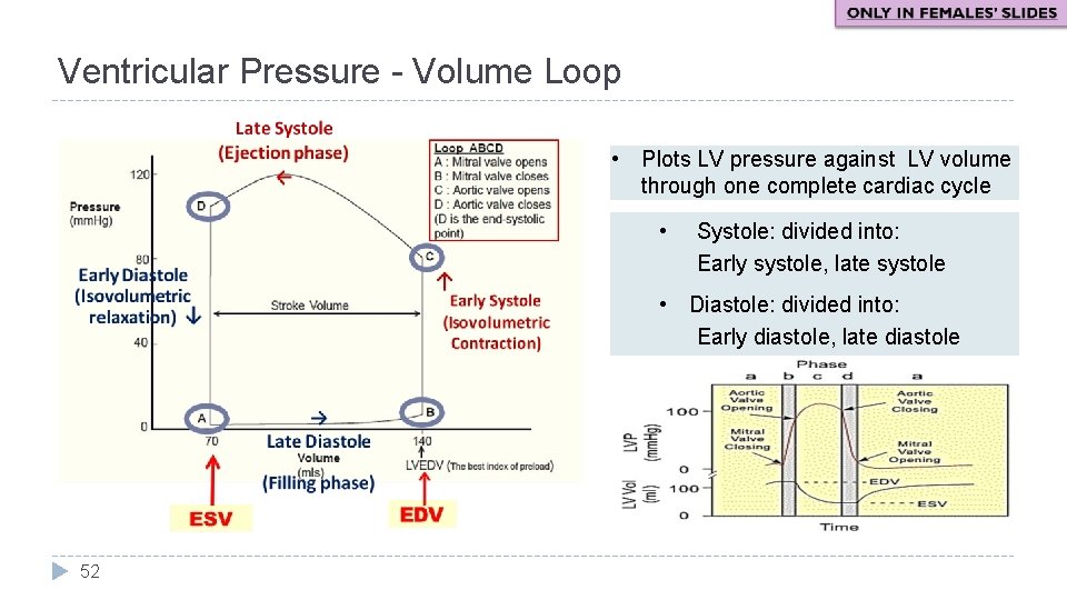 Ventricular Pressure - Volume Loop • Plots LV pressure against LV volume through one