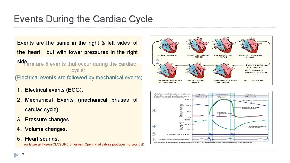 Events During the Cardiac Cycle Events are the same in the right & left