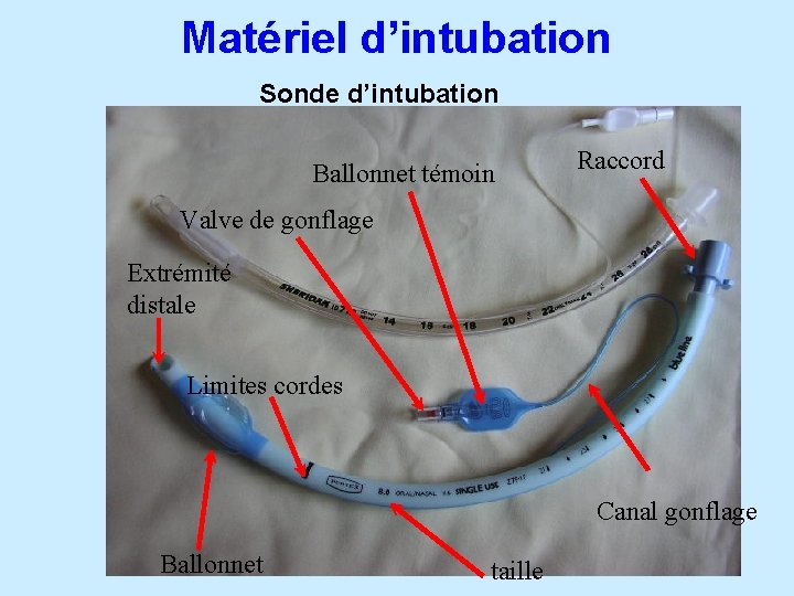 Matériel d’intubation Sonde d’intubation Ballonnet témoin Raccord Valve de gonflage Extrémité distale Limites cordes