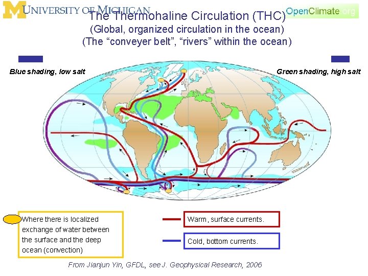 The Thermohaline Circulation (THC) (Global, organized circulation in the ocean) (The “conveyer belt”, “rivers”