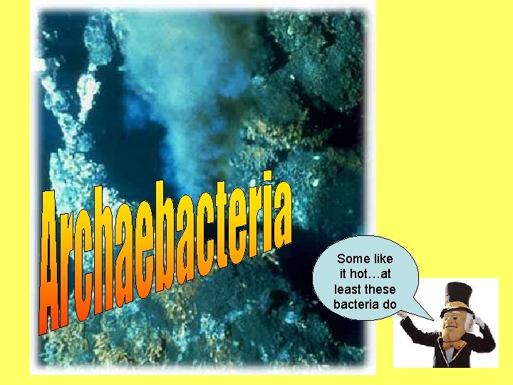 Some like it hot…at least these bacteria do 