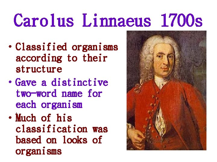 Carolus Linnaeus 1700 s • Classified organisms according to their structure • Gave a