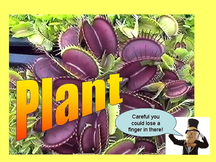 Careful you could lose a finger in there! 