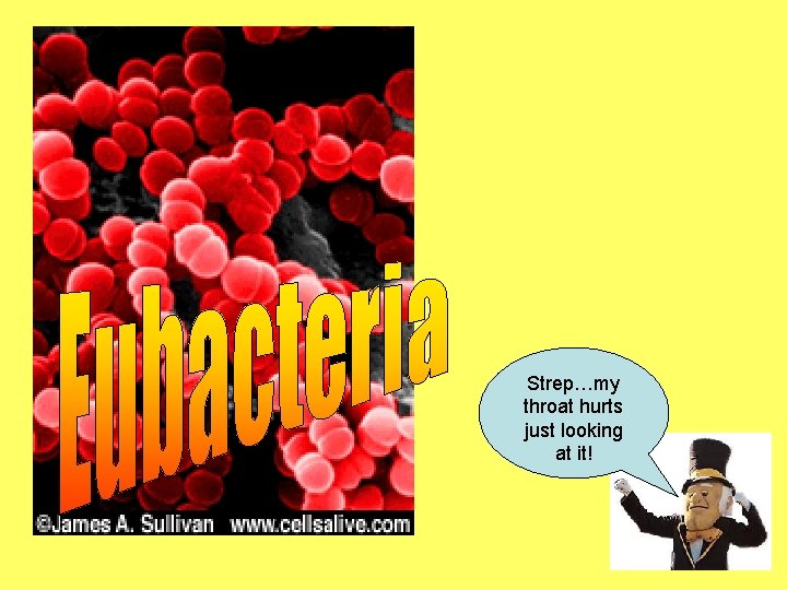 Strep…my throat hurts just looking at it! 