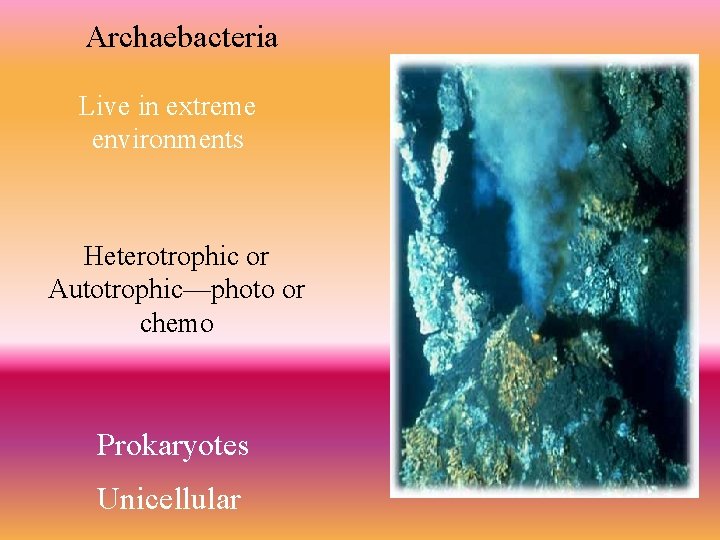 Archaebacteria Live in extreme environments Heterotrophic or Autotrophic—photo or chemo Prokaryotes Unicellular 