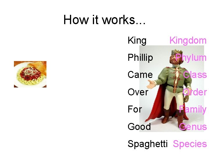 How it works. . . Kingdom Phillip Phylum Came Class Over Order For Family