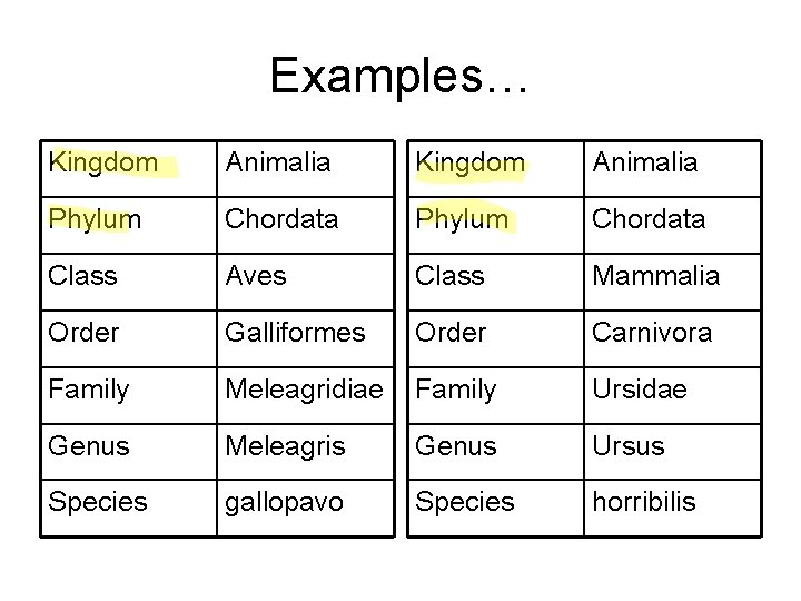 Examples… Kingdom Animalia Phylum Chordata Class Aves Class Mammalia Order Galliformes Order Carnivora Family