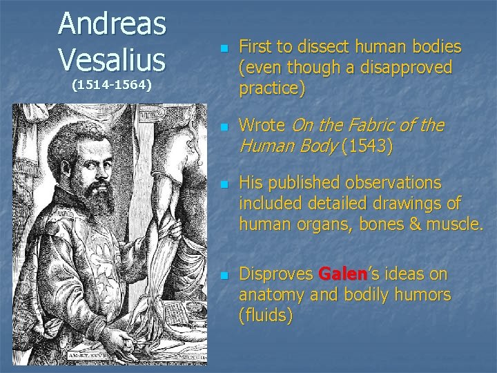 Andreas Vesalius n (1514 -1564) n n n First to dissect human bodies (even Andreas Vesalius n (1514 -1564) n n n First to dissect human bodies (even