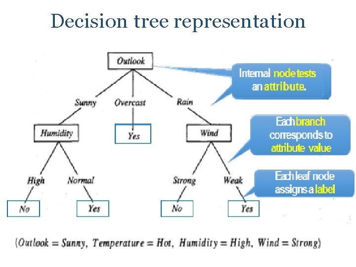 Decision tree representation 