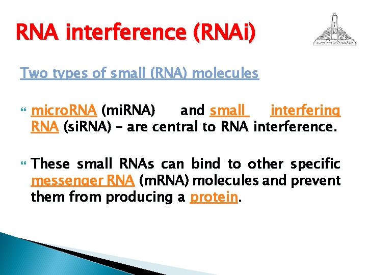 RNA interference (RNAi) Two types of small (RNA) molecules micro. RNA (mi. RNA) and
