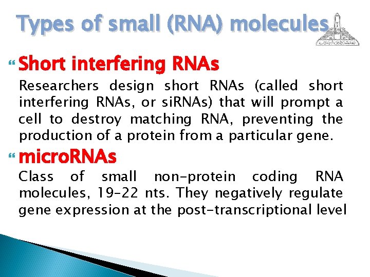 Types of small (RNA) molecules Short interfering RNAs Researchers design short RNAs (called short