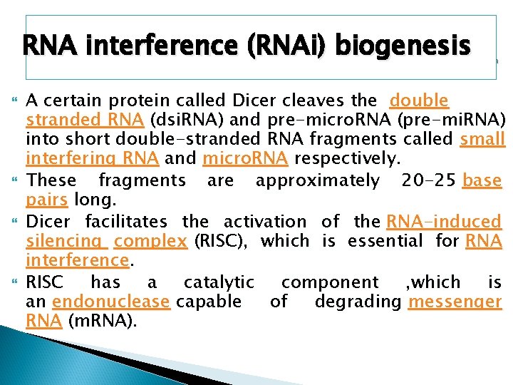 RNA interference (RNAi) biogenesis A certain protein called Dicer cleaves the double stranded RNA