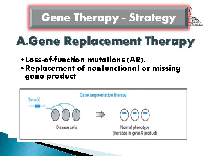 Gene Therapy - Strategy A. Gene Replacement Therapy • Loss-of-function mutations (AR). • Replacement