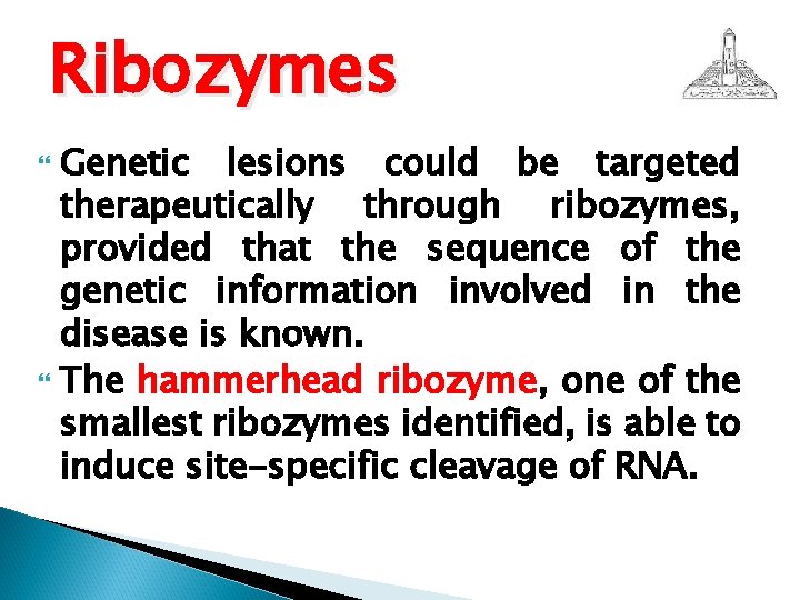 Ribozymes Genetic lesions could be targeted therapeutically through ribozymes, provided that the sequence of