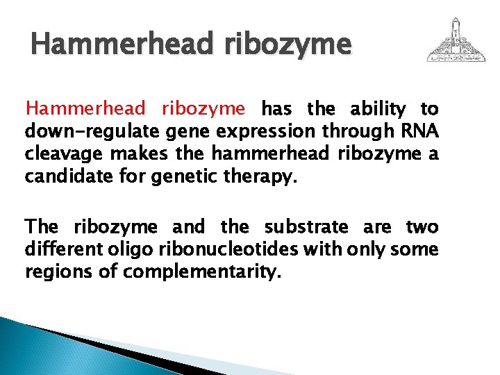 Hammerhead ribozyme has the ability to down-regulate gene expression through RNA cleavage makes the