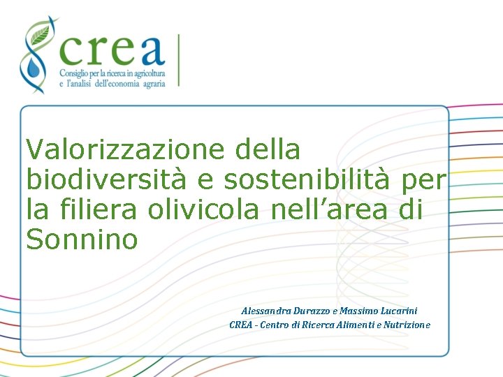 Valorizzazione della biodiversità e sostenibilità per la filiera olivicola nell’area di Sonnino Alessandra Durazzo