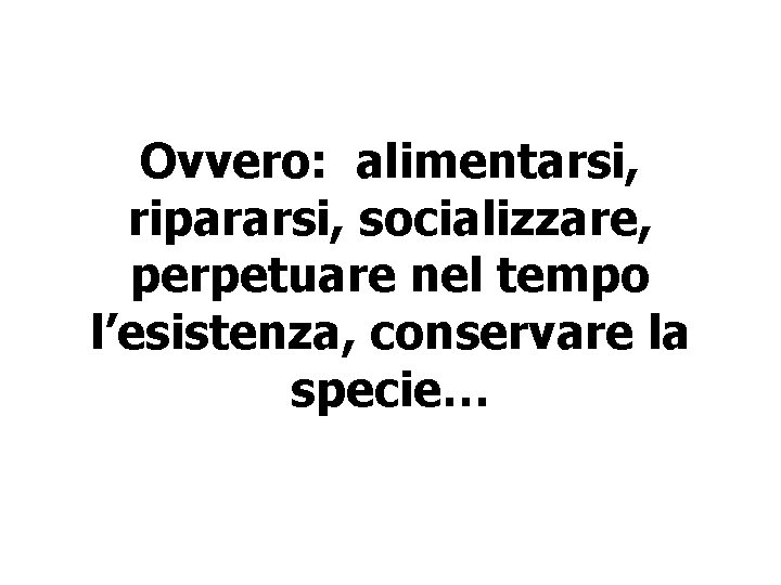 Ovvero: alimentarsi, ripararsi, socializzare, perpetuare nel tempo l’esistenza, conservare la specie… 